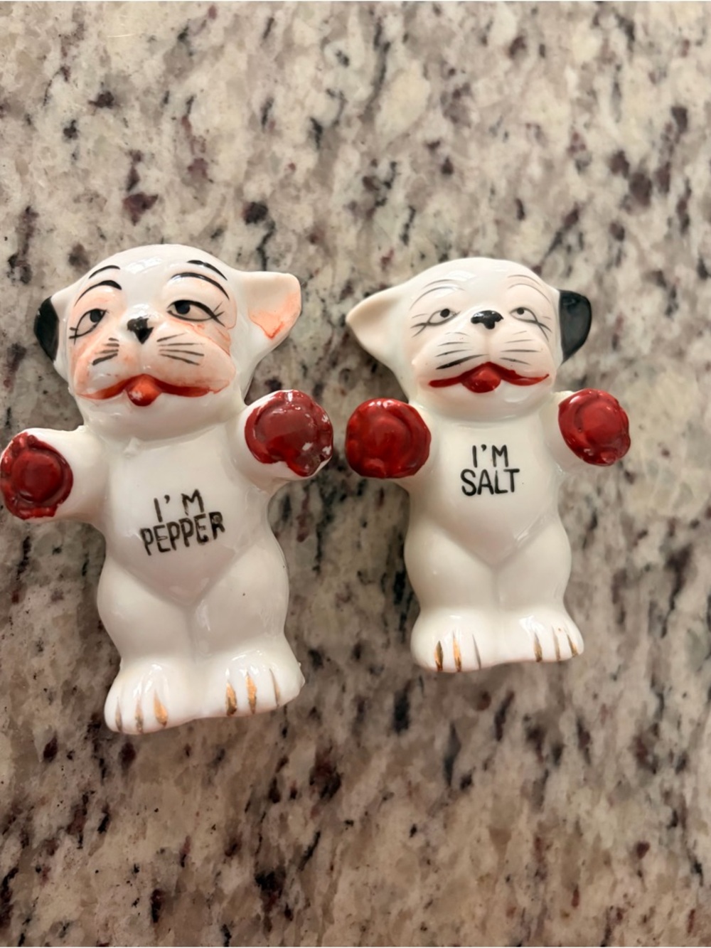 Ceramic 'I'm Salt' and I’m Pepper Small Dog Figurines - White and Red